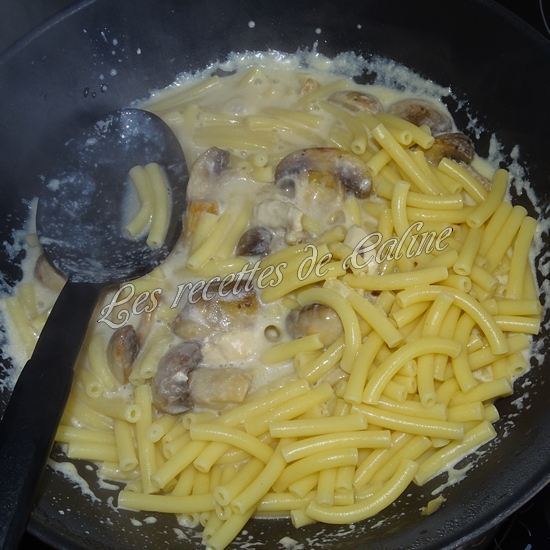 Macaroni aux champignons et au poulet18
