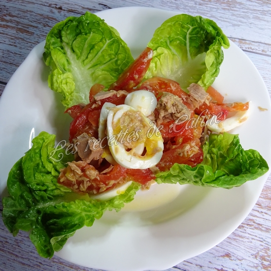 Salade de tomates, thon et oeufs11